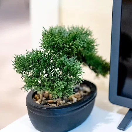 L'evasion Emeraude Soultz-Haut-Rhin